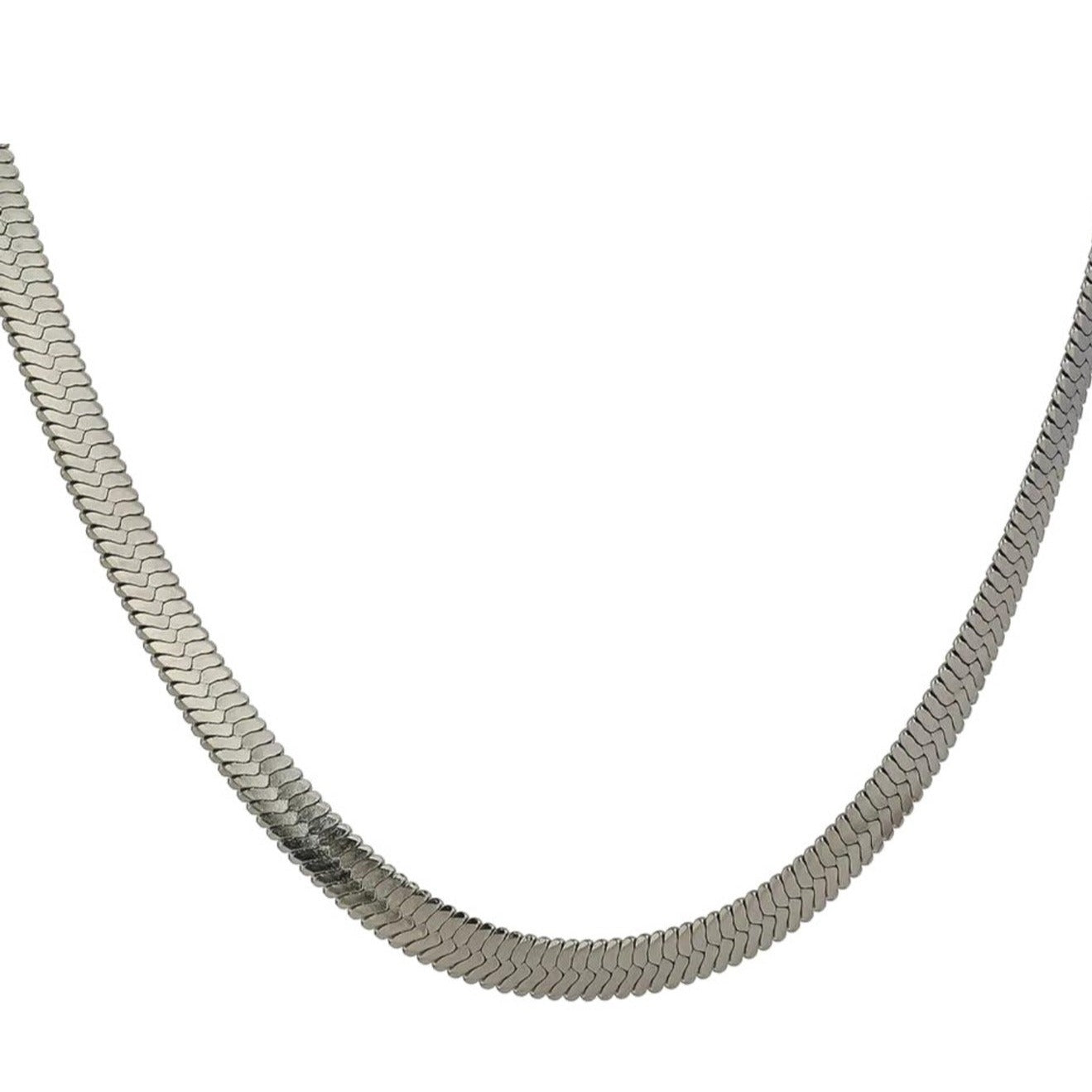 Silver Snake Chain