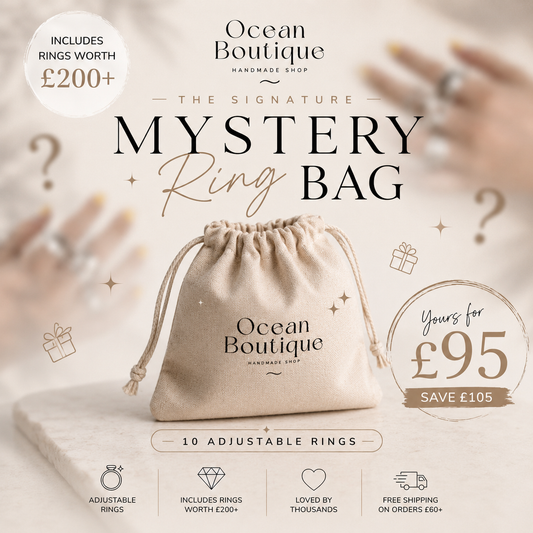 The Signature Mystery Silver Ring Bag – Premium