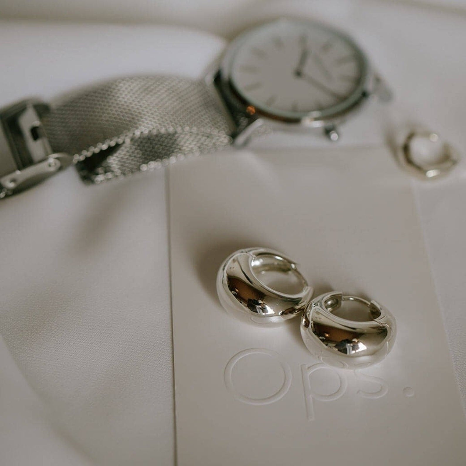 The Signature Mystery Silver Earring Bag